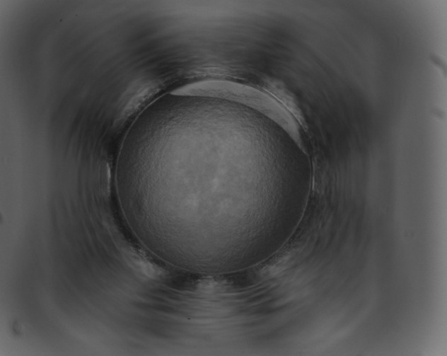 X0000095680109200801221235