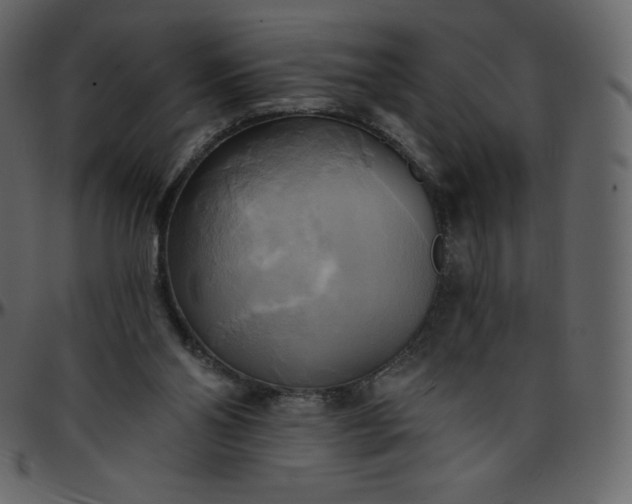 X0000095680110200801221235