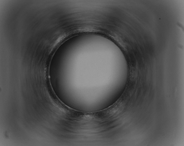 X0000095680111200801221235