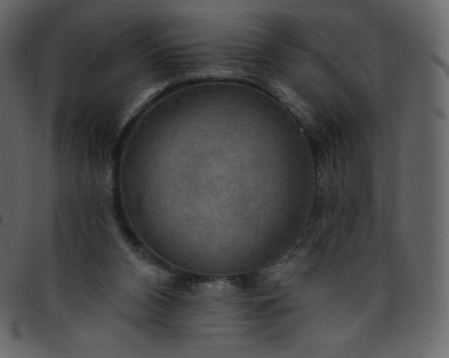 X0000095680112200801221235