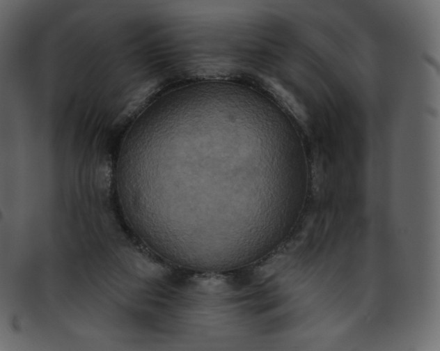 X0000095680113200801221235