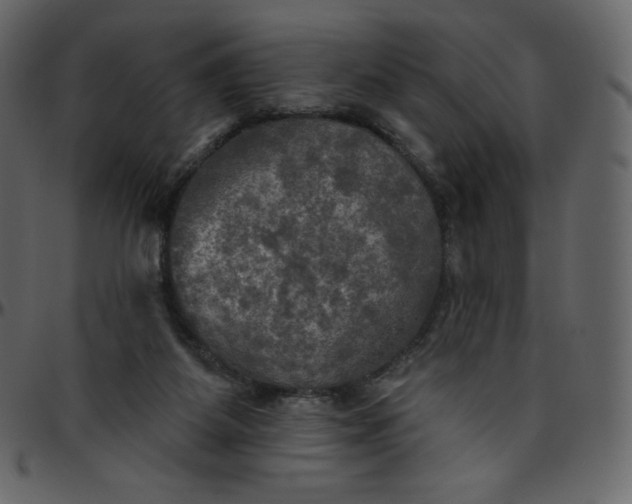 X0000095680115200801221235