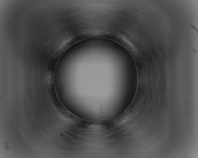 X0000095680119200801221234