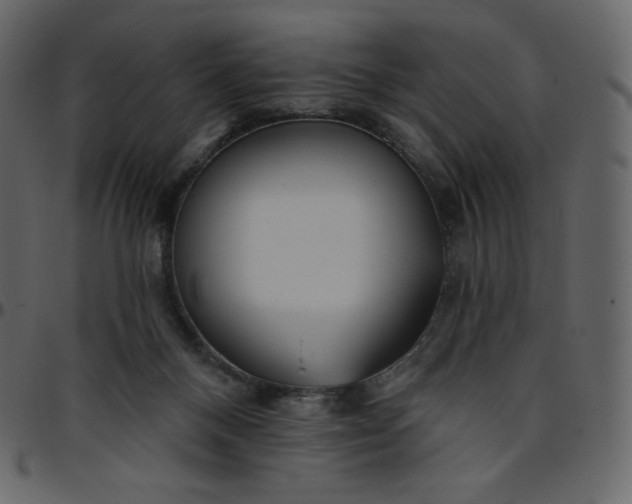 X0000095680120200801221234