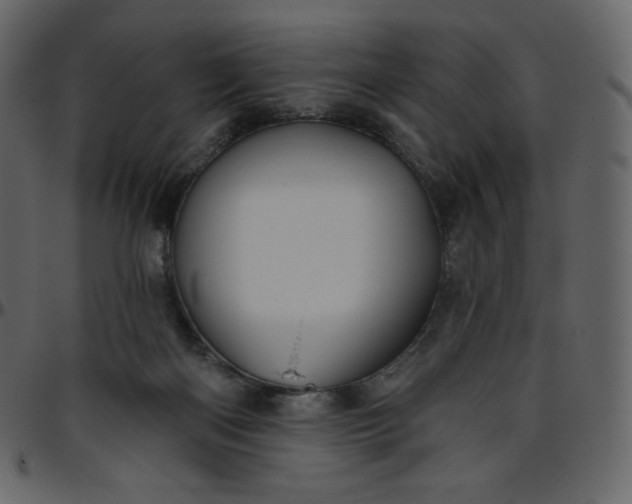 X0000095680122200801221234