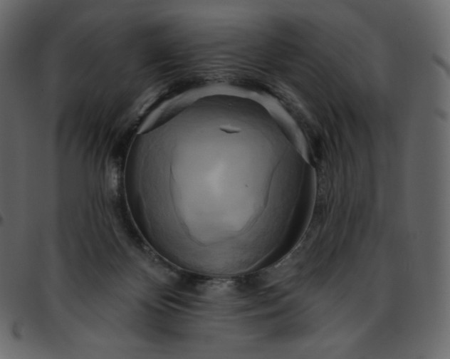 X0000095680124200801221234