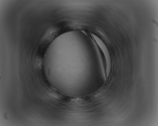 X0000095680125200801221234