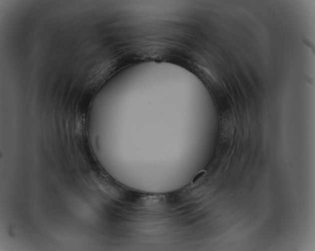 X0000095680126200801221234