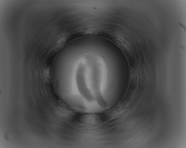 X0000095680127200801221234