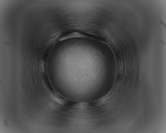 X0000095680128200801221234