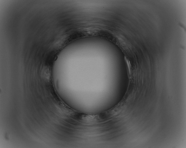 X0000095680129200801221234