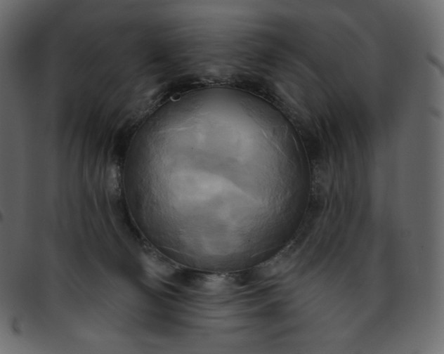 X0000095680130200801221234