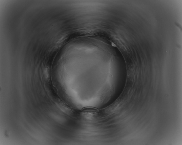 X0000095680131200801221234