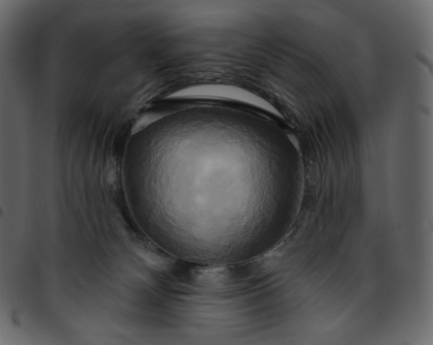 X0000095680132200801221234