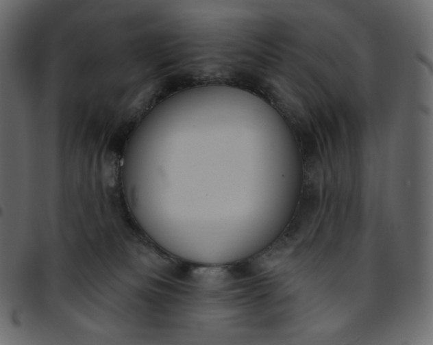 X0000095680133200801221234