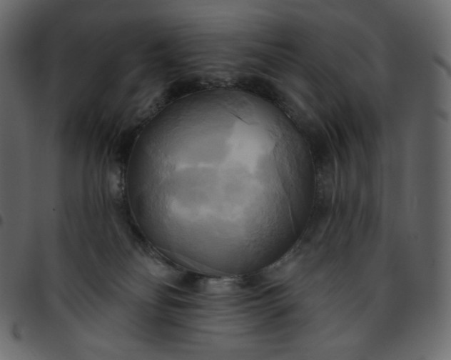 X0000095680134200801221234