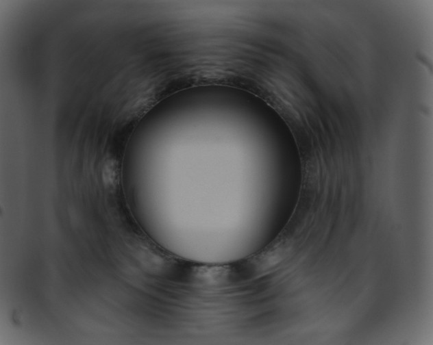 X0000095680135200801221234