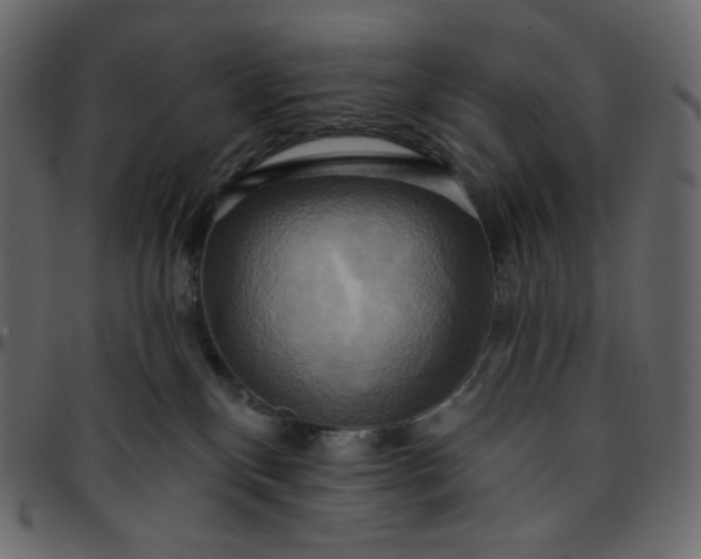 X0000095680136200801221234