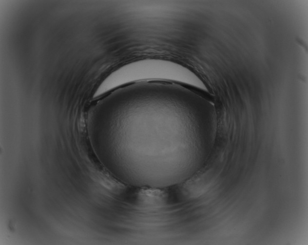 X0000095680137200801221234