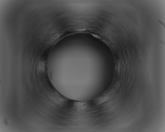 X0000095680139200801221234