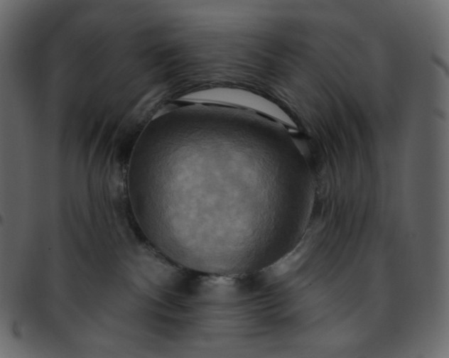 X0000095680140200801221234