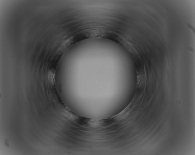 X0000095680142200801221234