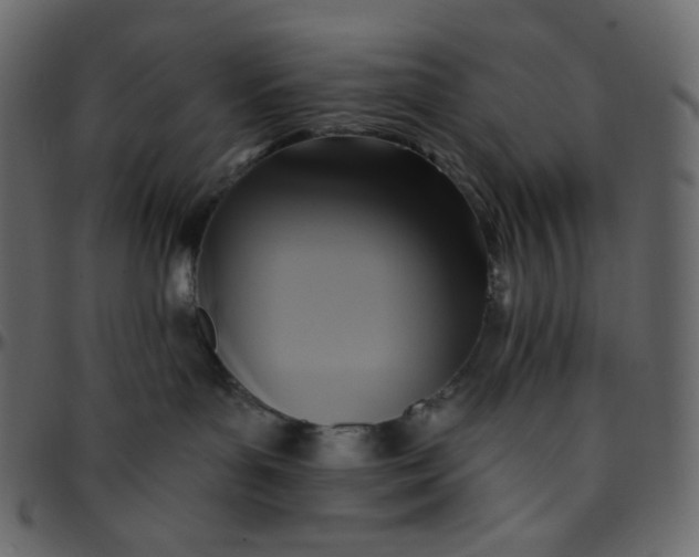 X0000095680143200801221234