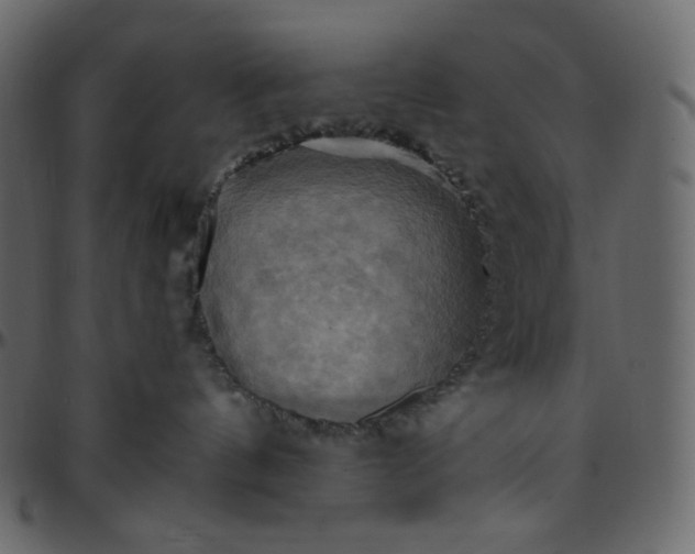 X0000095680144200801221234