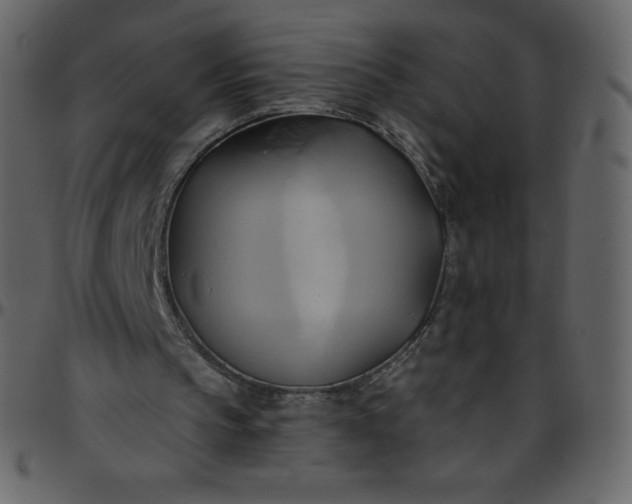 X0000095680145200801221233