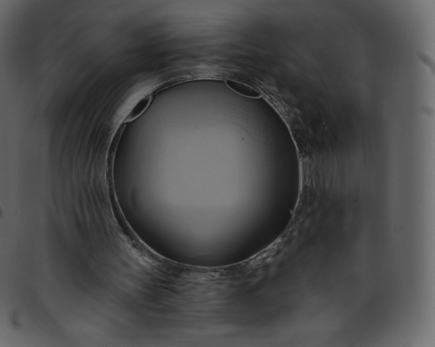 X0000095680147200801221233