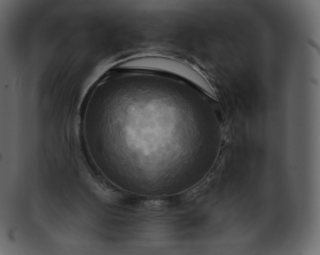 X0000095680152200801221233