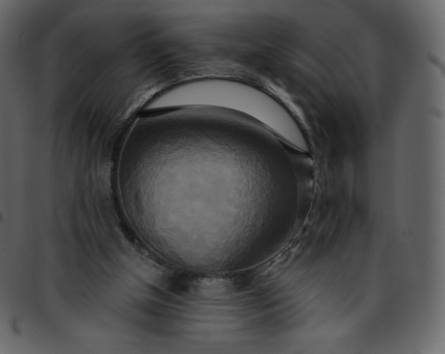 X0000095680154200801221233