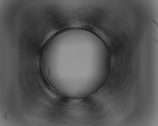 X0000095680155200801221233