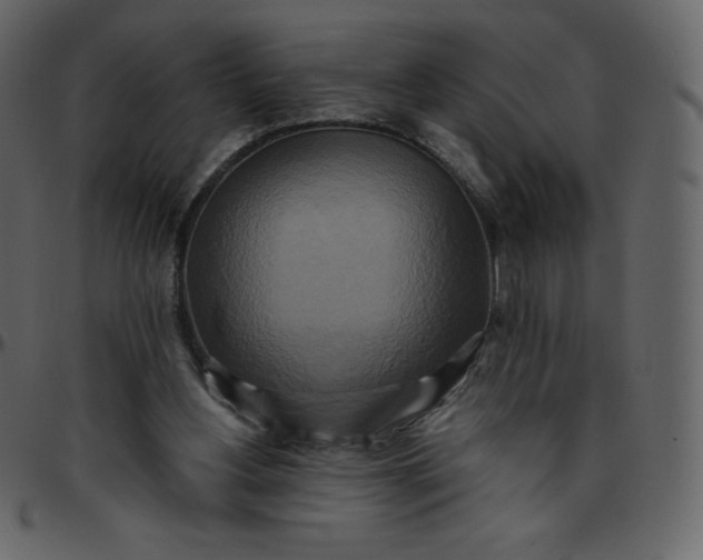 X0000095680156200801221233