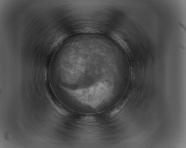 X0000095680157200801221233