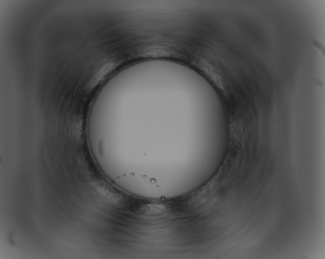 X0000095680159200801221234