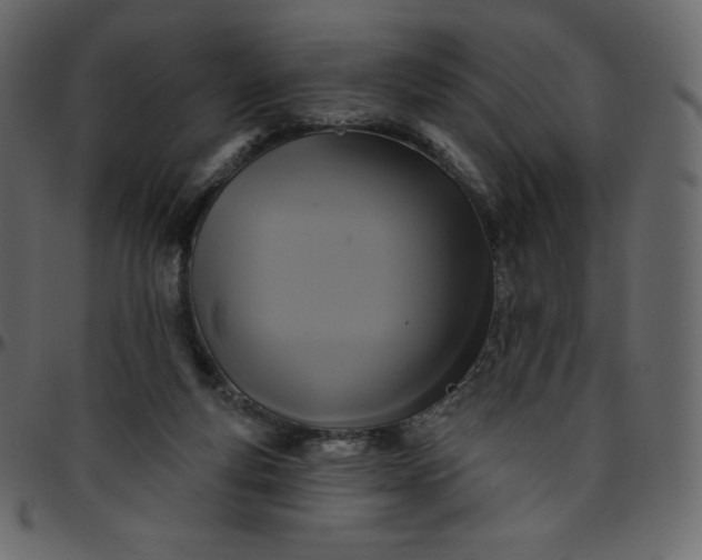 X0000095680163200801221234