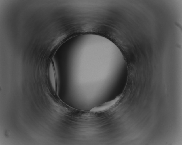 X0000095680164200801221234