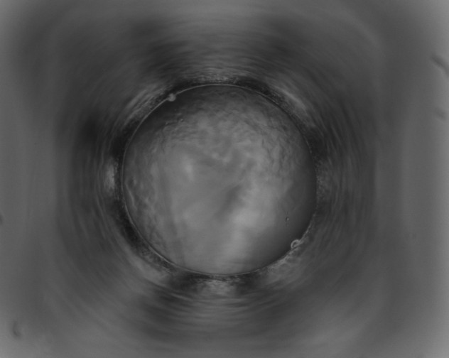 X0000095680166200801221234