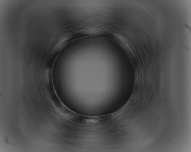 X0000095680167200801221234