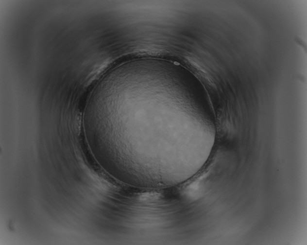 X0000095680168200801221234