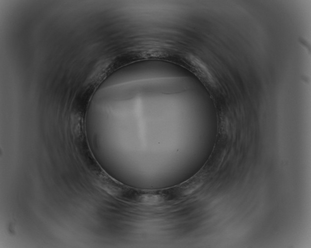 X0000095680169200801221234