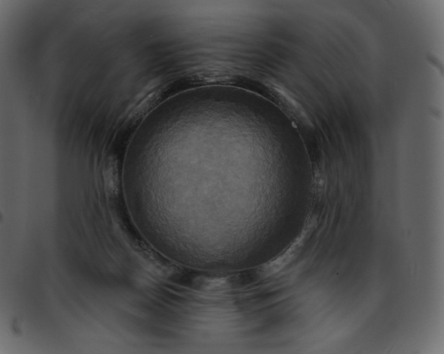 X0000095680170200801221234