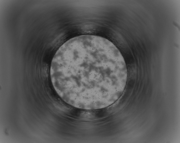 X0000095680174200801221234