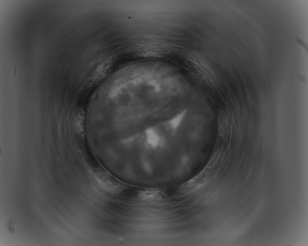 X0000095680175200801221234