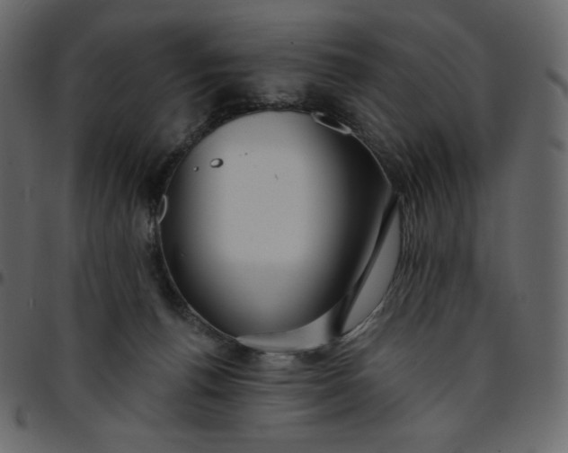 X0000095680176200801221234