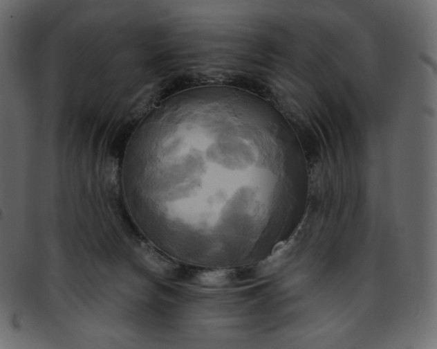 X0000095680178200801221234