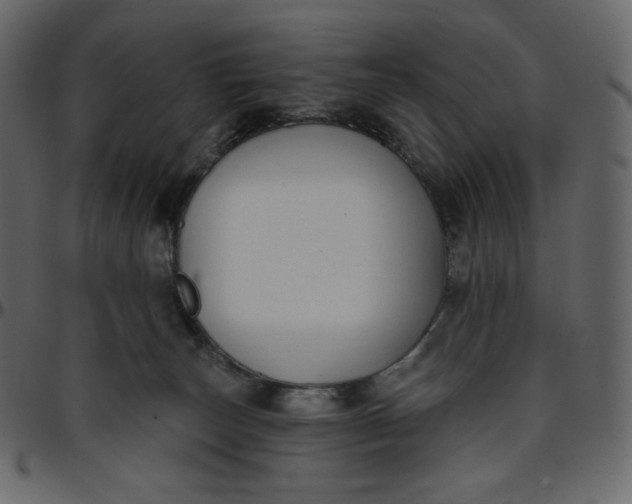 X0000095680179200801221234