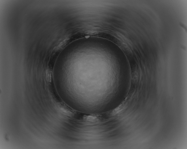 X0000095680180200801221234