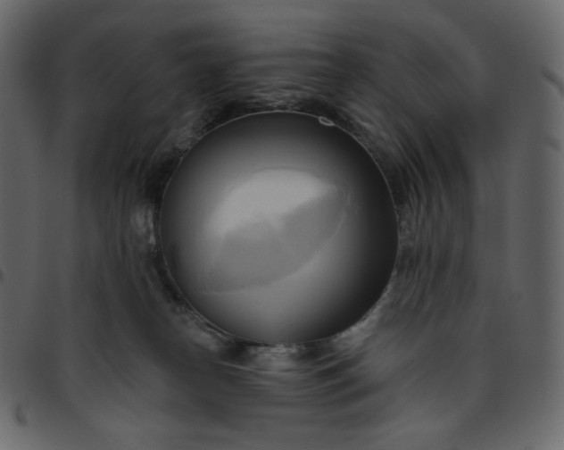 X0000095680182200801221234